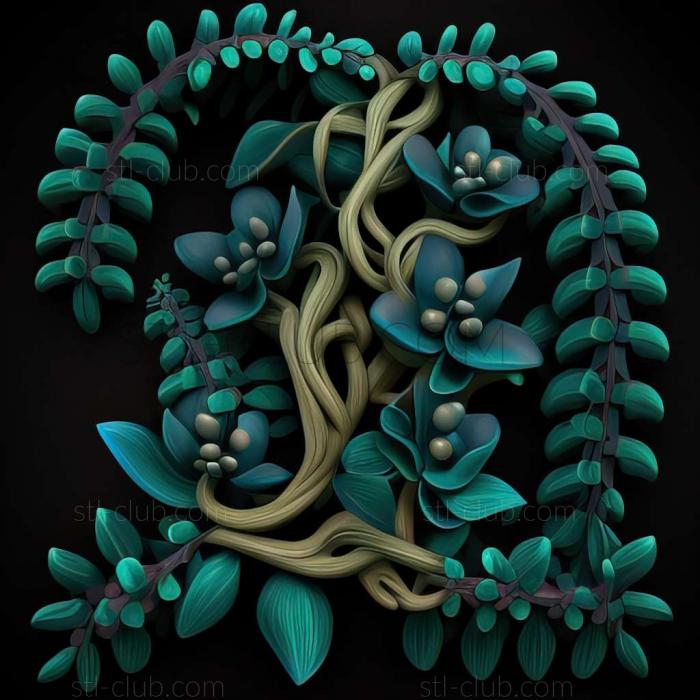 jade vine